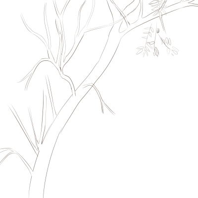 Imagine Joc Witches Brew (itch) | 2review.ro