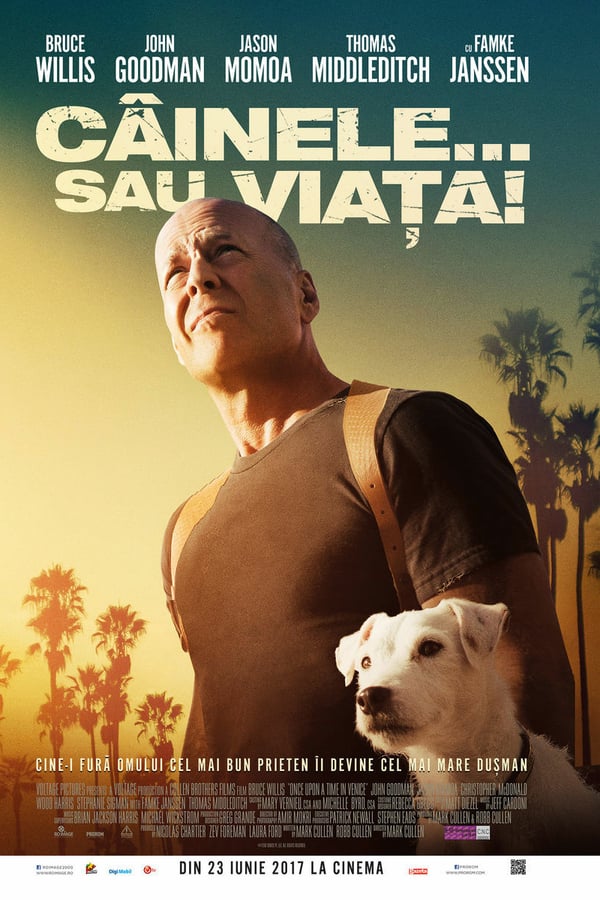 Imagine Film Câinele... sau viața | 2review.ro