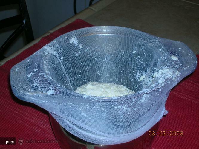 Imagine Reteta culinara Branza si Smantana de Casa | 2review.ro