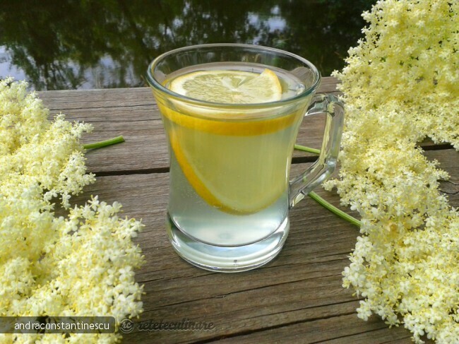 Imagine Reteta culinara Socată reţeta bunicii | 2review.ro