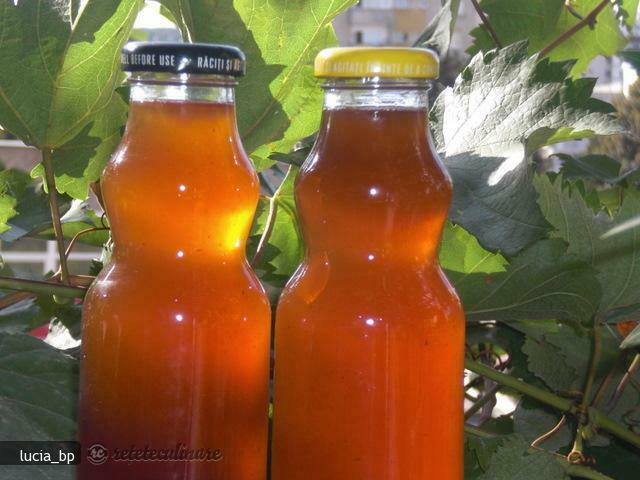 Imagine Reteta culinara Must de Struguri Pentru Iarna | 2review.ro