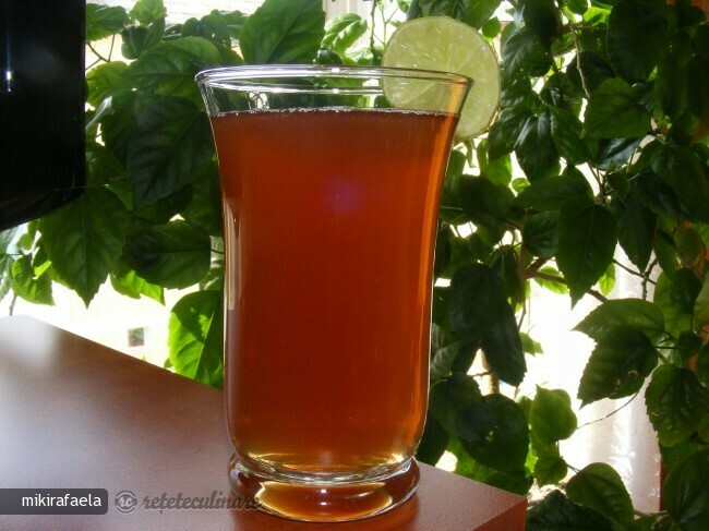 Imagine Reteta culinara Sirop din Muguri de Brad | 2review.ro