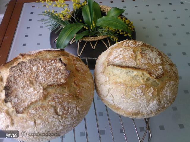 Imagine Reteta culinara Paine cu Aluat Neframantat | 2review.ro