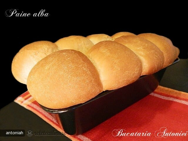 Imagine Reteta culinara Paine alba | 2review.ro