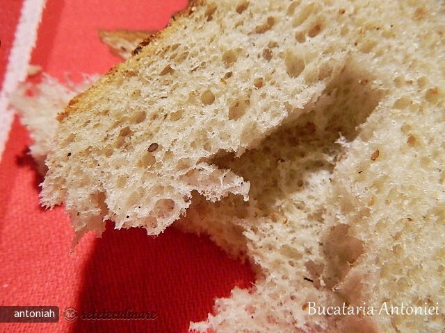 Imagine Reteta culinara Paine cu Faina Integrala de Grau si Seminte de In | 2review.ro