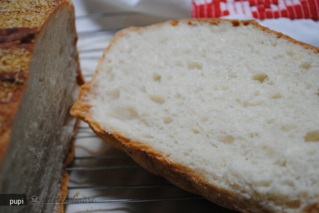 Imagine Reteta culinara Paine Neframantata in Dutch Oven | 2review.ro