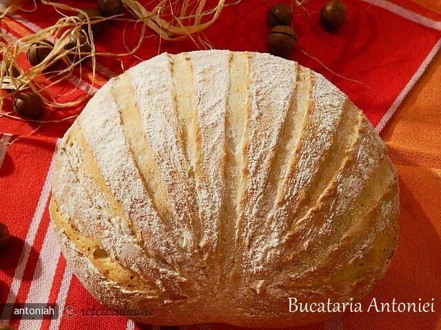 Imagine Reteta culinara Farl | 2review.ro