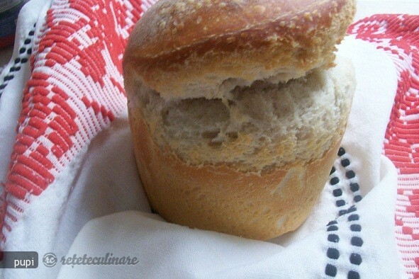 Imagine Reteta culinara Paine Alba cu Maia Naturala - Varianta Mea | 2review.ro