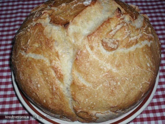 Imagine Reteta culinara Paine Alba | 2review.ro