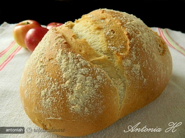 Imagine Reteta culinara Paine Alba | 2review.ro