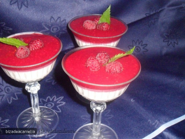 Imagine Reteta culinara Panna Cotta de Vanilie si Jeleu de Zmeura | 2review.ro