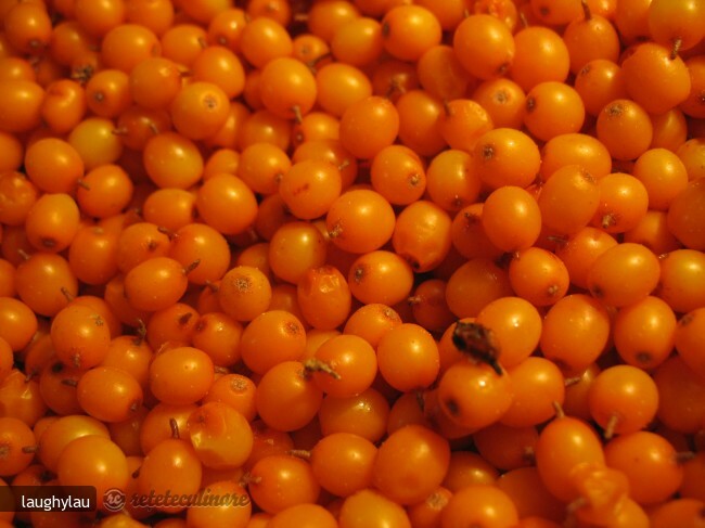 Imagine Reteta culinara Rulada de Carne cu Catina | 2review.ro