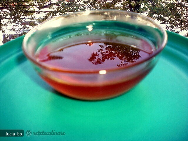 Imagine Reteta culinara Sirop din Suc de Portocale | 2review.ro