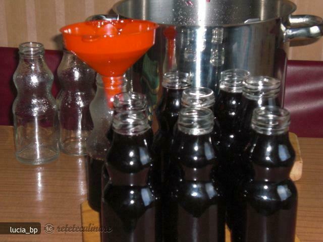 Imagine Reteta culinara Sirop de Coacaze Rosii | 2review.ro