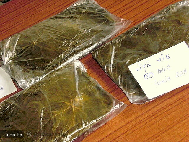 Imagine Reteta culinara Frunze de Vita de Vie Conservate pentru Iarna | 2review.ro