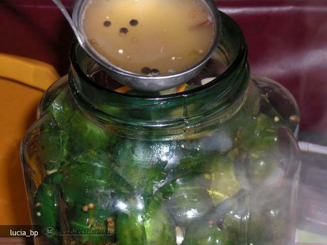 Imagine Reteta culinara Castraveciori Murati, Crocanti | 2review.ro