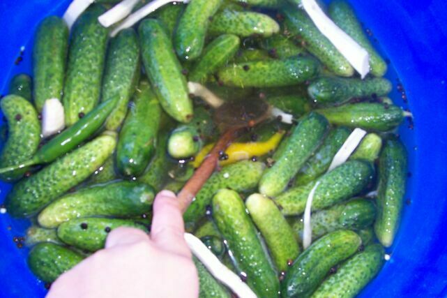 Imagine Reteta culinara Castraveti murati | 2review.ro