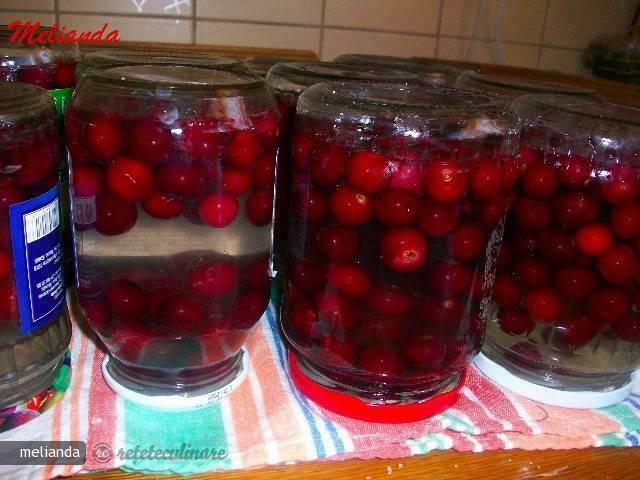 Imagine Reteta culinara Compot de Visine | 2review.ro