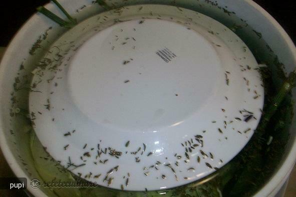 Imagine Reteta culinara Varza Acra la Butoias | 2review.ro