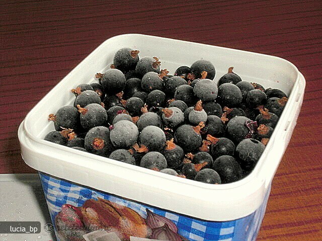 Imagine Reteta culinara Coacaze Negre la Congelator | 2review.ro