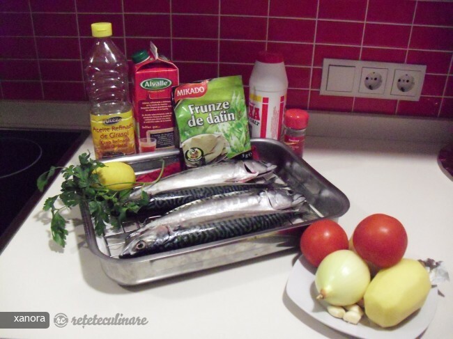 Imagine Reteta culinara Macrou la Cuptor in Sos Tomat | 2review.ro