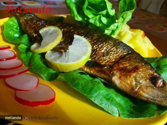 Imagine Reteta culinara Scrumbie de Dunare la Gratar | 2review.ro