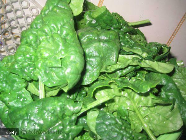 Imagine Reteta culinara Crema de Spanac | 2review.ro