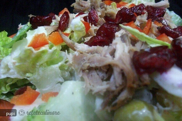 Imagine Reteta culinara Porcul in `Gradina cu Salata` | 2review.ro